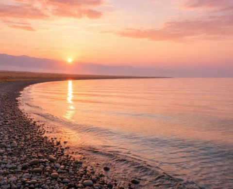 Напишите нам